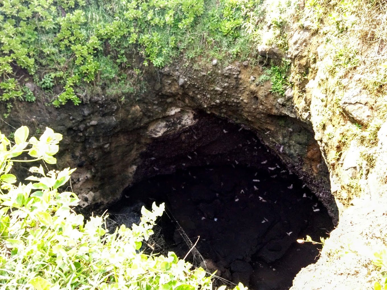 Gua Lalay Puncak Guha